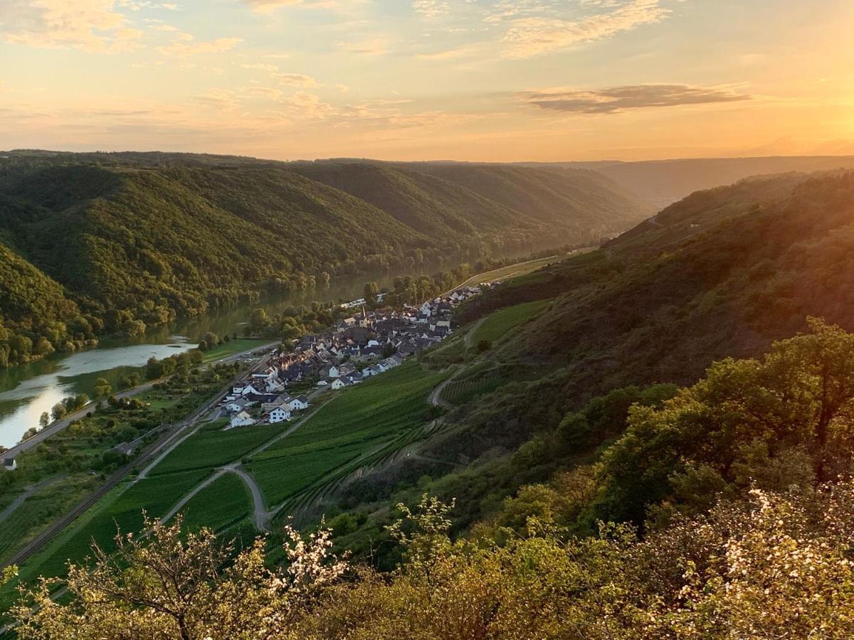 Ferienwohnung Am Bachlauf Pommern Bagian luar foto